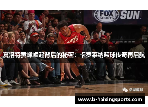 夏洛特黄蜂崛起背后的秘密:卡罗莱纳篮球传奇再启航 夏洛特黄蜂崛起背后的秘密:卡罗莱纳篮球传奇再启航